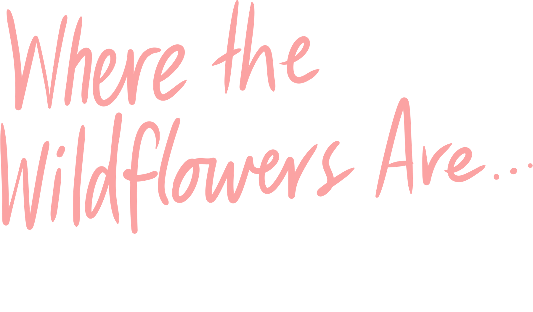 Where the Wildflowers Are — by Phoebe Paradise